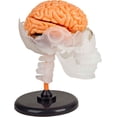 thumbnail image 2 of Smart Lab Cerveau spongieux incroyable, 2 of 5