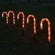 thumbnail image 4 of Luces de bastón de de Navidad 8 modos de iluminación con estacas Luz de estacas de Navidad para fiesta Cola Luces de bastón de caramelo, 4 of 8