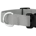 thumbnail image 6 of Country Brook Design&reg; Deluxe Nylon Dog Collar and Leash, 6 of 7