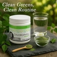 thumbnail image 2 of Epic Global Chlorophyll Powder, Mint Flavor, 2 of 7