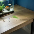 thumbnail image 4 of BRIGHTFUFU 15Ud Accesorio Para Terrarios De Ranas Y Betta Plataforma De Descanso, 4 of 7