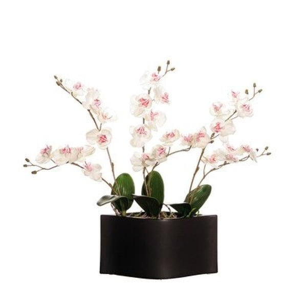 Vickerman Orchidées Blanches en Pot de Céramique Noire