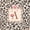 Brown A, variant on Catabedysis Brown Initial V Twin Sheets,Wild Leopard Print Bedding For Girls,3pcs,1 Fitted Sheet and 1 Pillowcase