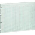 thumbnail image 2 of Wilson Jones, WLJG1024, Prepunched Ledger Paper Sheets, 100 / Pack, 2 of 2