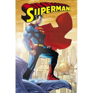 Superman - Comic Poster (Gargoyle / Above Metropolis / Daily Planet) (24" x 36")