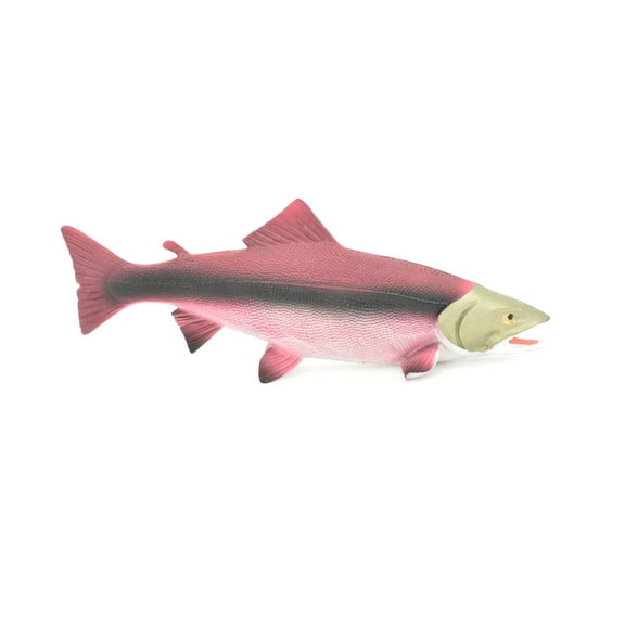 Salmon, King, Spawning, Fish, Very Realistic Rubber Figure, Model, Educational, Animal, Hand Painted Figurines, 6 1/2" CH018 BB71