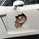thumbnail image 2 of 3D Stereo Car Sticker Kitten Pattern 13 x 18cm, 2 of 4