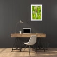 thumbnail image 3 of Jaynes Gallery 11x14 White Modern Wood Framed Museum Art Print Titled - Florida-Orlando Wetlands Park Sandhill crane adult in blooming pickerel weed, 3 of 4