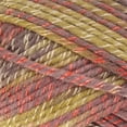 thumbnail image 5 of JubileeYarn Chunky Melody Yarn - 100g/Skein Bulky Wool Blend - Splitpea Carrot - 2 Skeins, 5 of 5