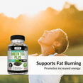 thumbnail image 3 of Kaya Naturals - Green Tea Plus with Raspberry Ketone 1300mg - Green Tea Pills Fat Burner Weight Loss | Supports Healthy Metabolism and Increases Energy | Green Tea Extract | 60 Count Green Tea Pills, 3 of 8