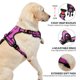 thumbnail image 4 of Arnés para perros NESTROAD, chaleco Oxford ajustable sin tirones, pequeño, 4 of 8