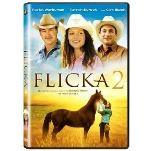 Flicka 2 (Widescreen)