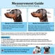 thumbnail image 5 of Collar de Cabeza para Perros BARKLESS Arnés Antitirones para Perros Pequeños y Medianos, 5 of 7