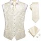 thumbnail image 1 of Conjunto de chaleco Hi-Tie para hombre, seda, champán, cachemir, talla pequeña, 1 of 6