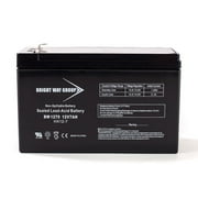 Minimoto Hybrid Mobility Scooter Replacement Battery by Bright Way
