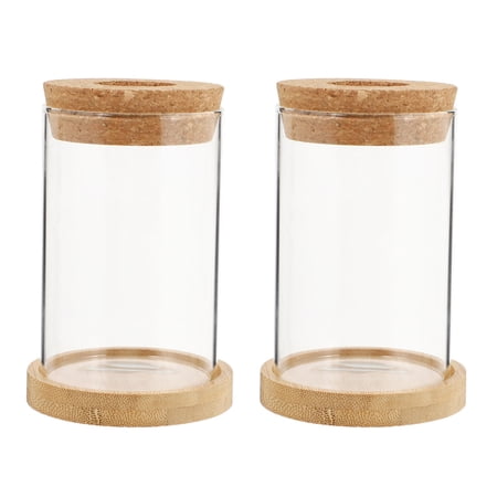 2Pcs Hydroponic Plants Vase Durable Plant Terrarium Chic Home Decoration