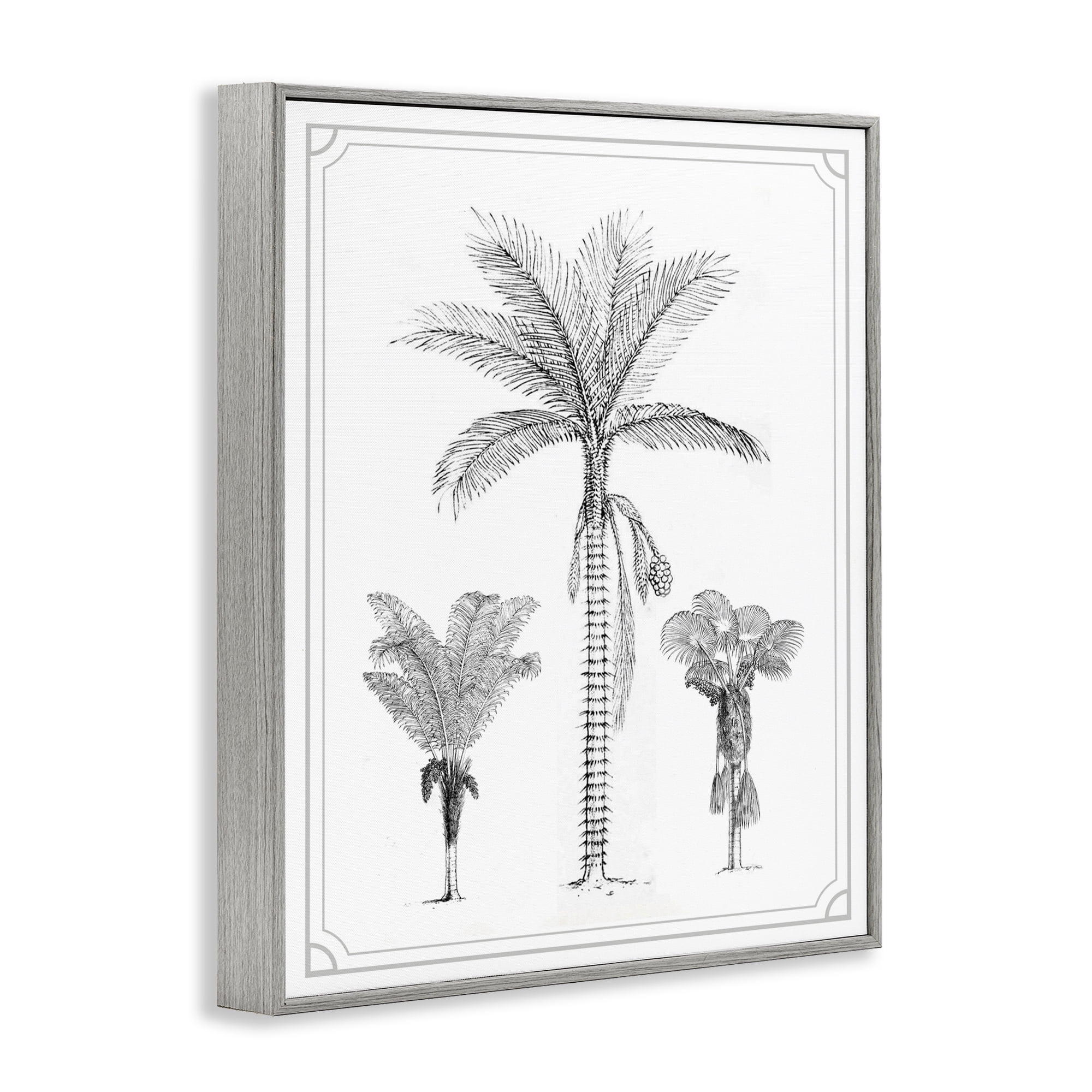 Palm Tree Trio Sketches Gray Framed Giclee Art, design by Lettered and Lined