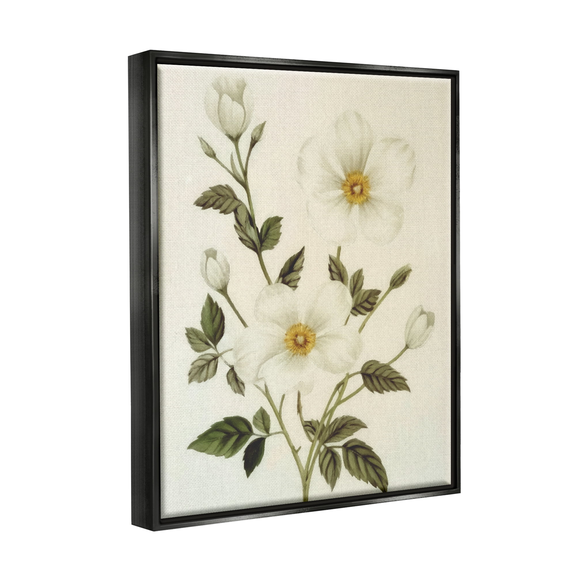 Stupell Industries Vintage Apple Blossoms Botanical & Floral Painting Black Floater Framed Canvas Art Print Wall Art, 17 x 21