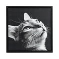 thumbnail image 1 of hometrends Modern Cat Canvas Art, 1 of 8