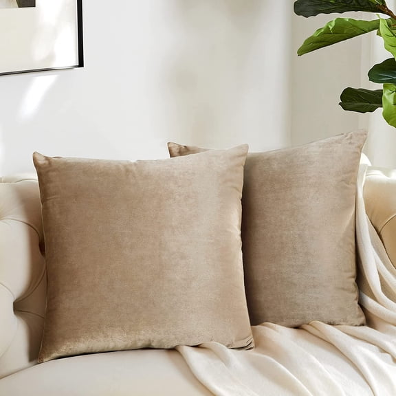 Cterwk Pack of 2 Velvet Decorative Throw Pillow Covers Square Pillowcase Soft Cushion Case for Sofa, Couch, Bedroom, 16x16 Inch