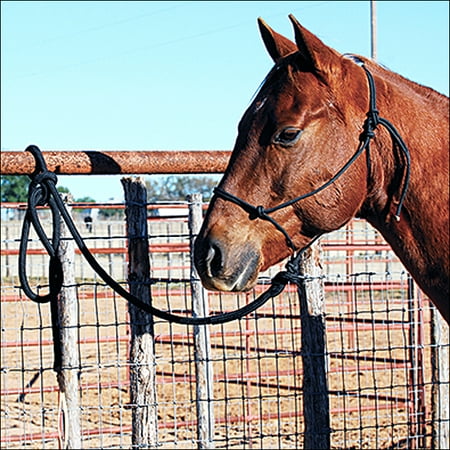 Classic Nylon Halters - CLASSIC EQUINE HORSE NYLON ROPE HALTER W/ LEAD BLACK