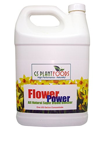 zoom care covid booster zoom care covid booster