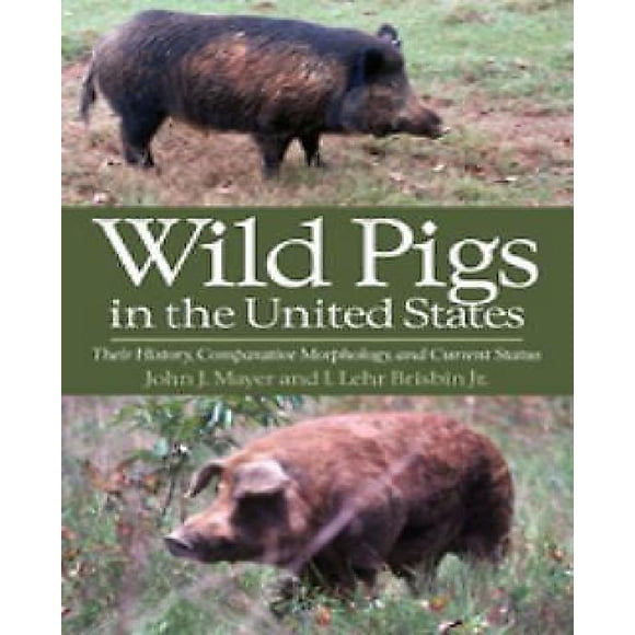 Cochons Sauvages aux États-Unis: Leur Histoire, Morphologie Comparée et Statut Actuel