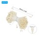 thumbnail image 2 of Uxcell 2.5mm Doble Cabezas Estambre de Flor, 340 Pcs Pistilo de Flor Artificial Mate para Decoración Navideña DIY, Blanco Crema, 2 of 6