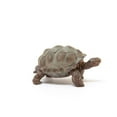 thumbnail image 4 of Schleich Giant Tortoise Wild Life Action Figure, 4 of 4
