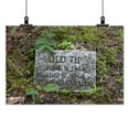 thumbnail image 2 of Print: Key Underwood Coon Dog Memorial Graveyard, Colbert County, Alabama, 2 of 4