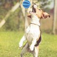 thumbnail image 2 of Pelota de juguete para perros de 2 piezas, pelota de juguete no tóxica resistente a las mordeduras para perros, cachorros y gatos, alimentador de golosinas para perros, pelota de limpieza de dien, 2 of 4