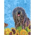 thumbnail image 1 of 11 x 15 In. Bergamasco Sheepdog Flag, Garden Size, 1 of 1