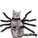 thumbnail image 2 of Disfraz de halloween de mascota Cosplay Spider Spider Spider Spider Spider Harness Disfraz de perro, 2 of 6