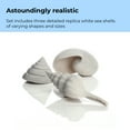 thumbnail image 6 of biOrb White Seashell Set - Small Aquarium Decor, 6 of 10