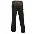 thumbnail image 3 of Regatta Mens Pro Cargo Pants, 3 of 4