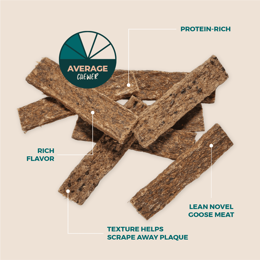Natural Goose (Geese) Meat Strips Dog Treats - 25 Pack