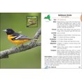 thumbnail image 4 of Birds of new york field guide - paperback: 9781591931089, 4 of 4
