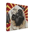 thumbnail image 2 of Trademark Fine Art 'Dlynns Dogs Puggins' Canvas Art by Dlynn Roll, 2 of 4