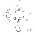 thumbnail image 4 of portátiles de sol Tornillo Tuerca Almohadil para Herramienta de ción óptica surtido 100pcs / Pack Zulema Gafas, 4 of 4