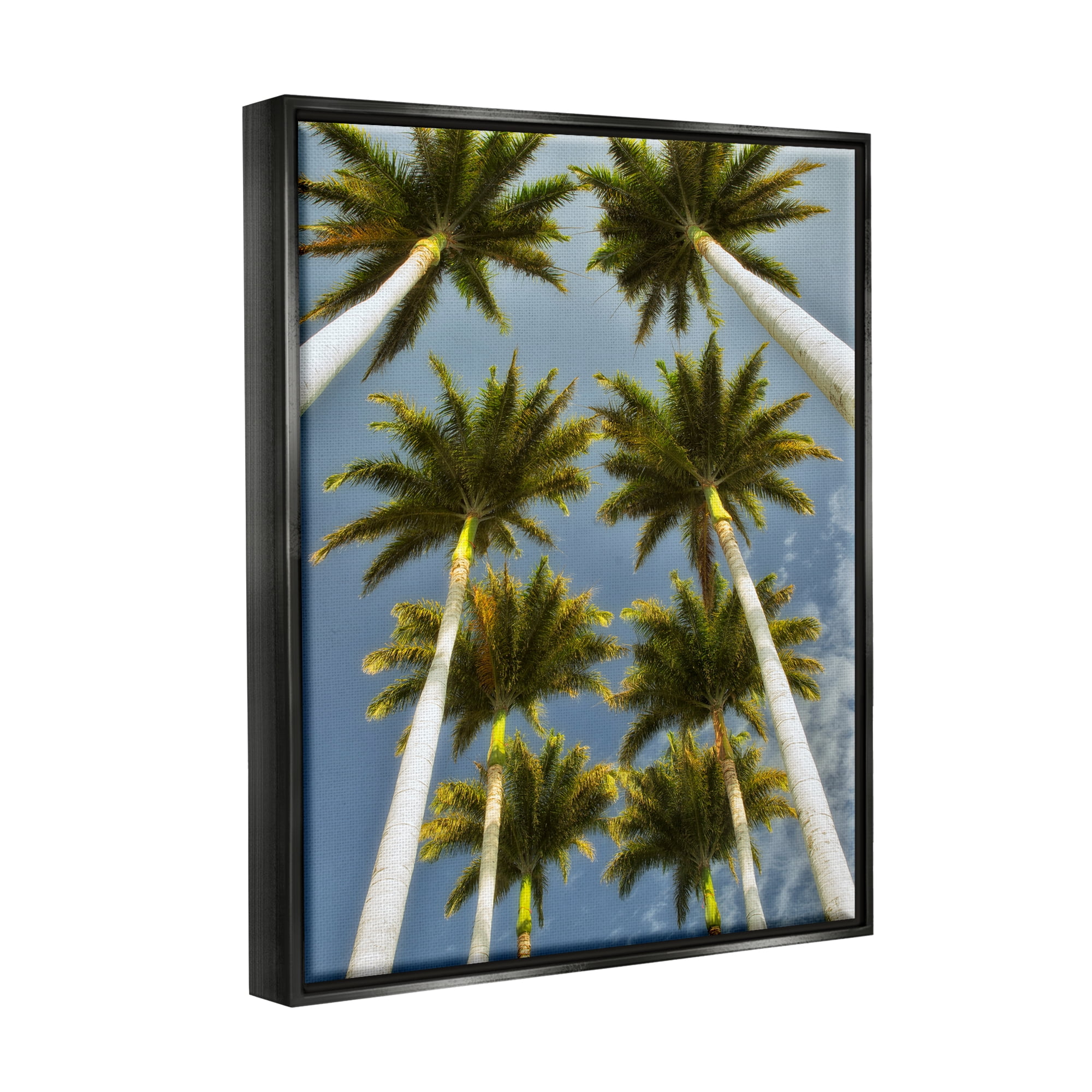 Stupell Industries Palm Trees Overhead Nature Photography Black Floater Framed Art Print Wall Art, 17 x 21