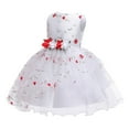thumbnail image 3 of BJUTIR Girls Dresses 2-10Y Kid Children Girl Sleeveless Floral Embroidered Tulle Ball Gown Princess Prom Dress Outfits Clothes, 3 of 8