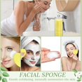 thumbnail image 3 of Esponjas faciales comprimidas Sieral 120 piezas con contenedor, 3 of 7