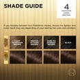 thumbnail image 6 of L'Oreal Paris Superior Preference Fade-Defying Permanent Hair Color, 4 Dark Brown, 1 Kit, 6 of 9