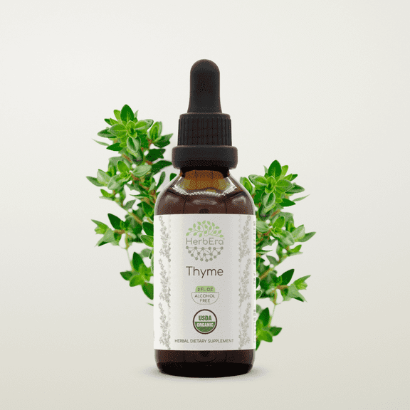 HerbEra Thyme Tincture, Organic Herbal Dietary Supplement for Respiratory Health Support, Certified Organic Thyme (Thymus vulgaris) Dried Leaf Extract, Natural, Alcohol-Free, Drops 2 oz