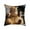 B, variant on Fasiaou Cat Pattern Throw Pillow Covers Decorative Outdoor Soft Pillowcases Home Decor Living Room Cushion Case for Bed Couch Car 18x18 Inch,B