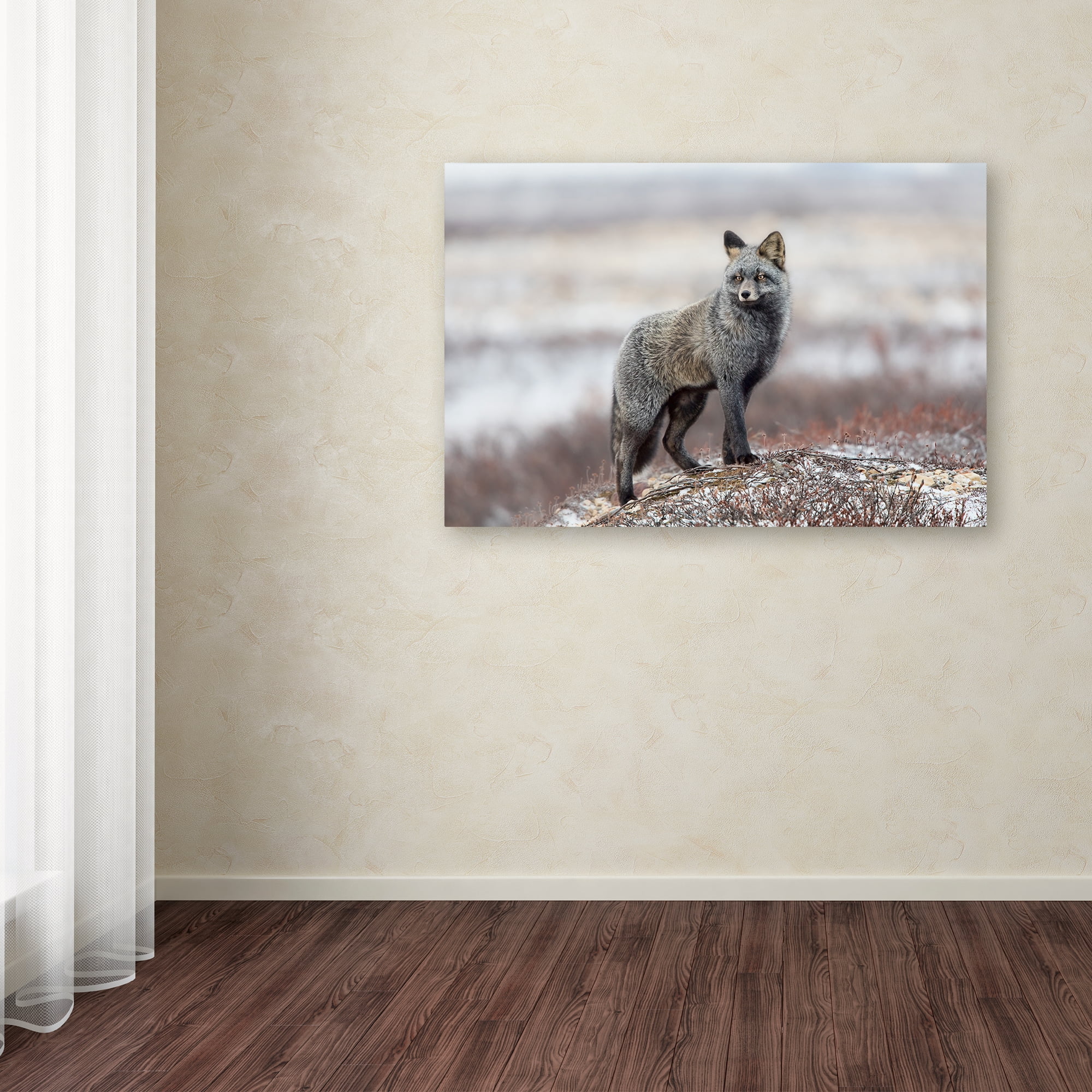 Trademark Fine Art 'Cross Fox' Canvas Art by Alessandro Catta