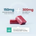 HumanN SuperBeets Memory + Focus Chews Helps Support Brain Health