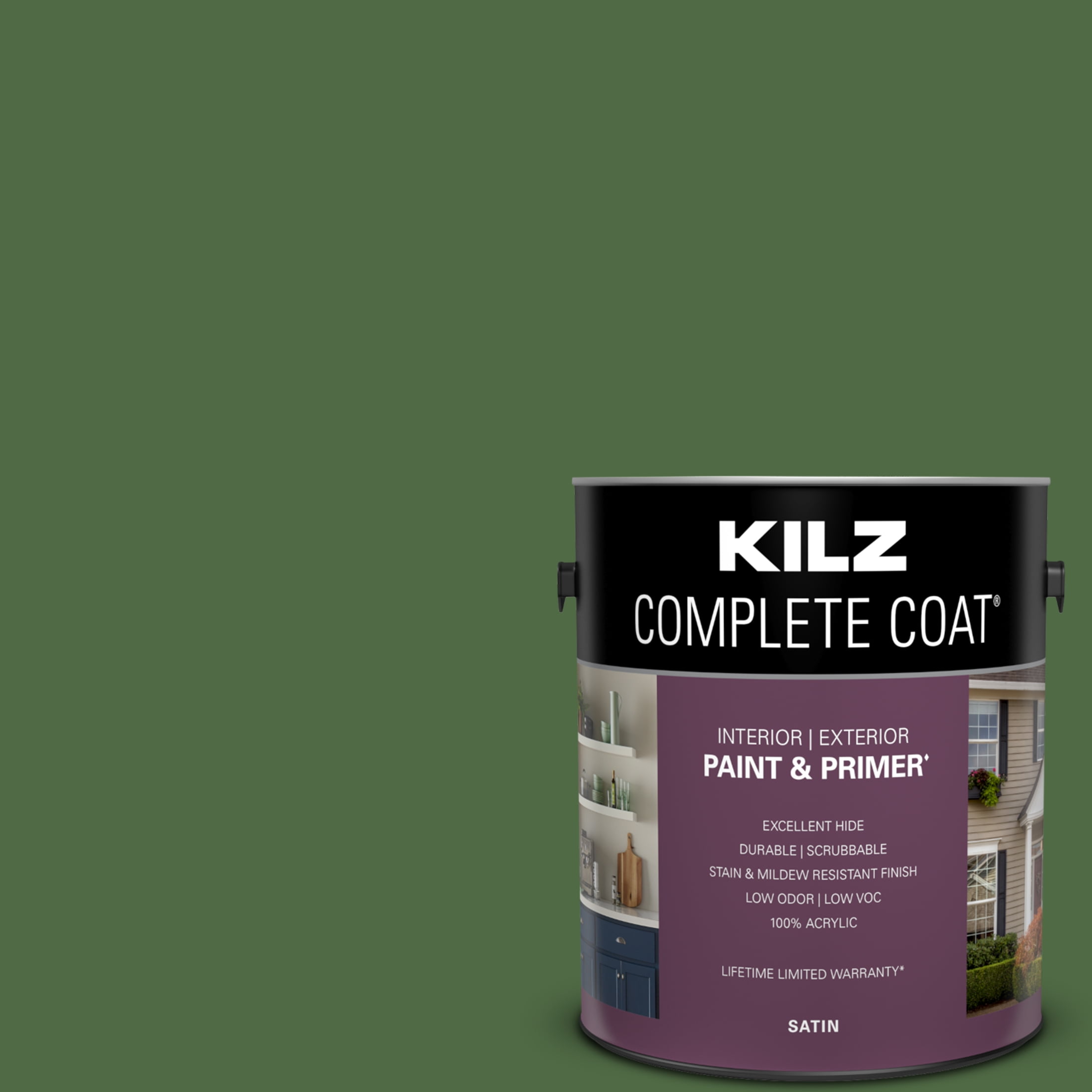 Flower Leaf, KILZ Complete Coat Interior/Exterior Paint & Primer in One, #LG290-02