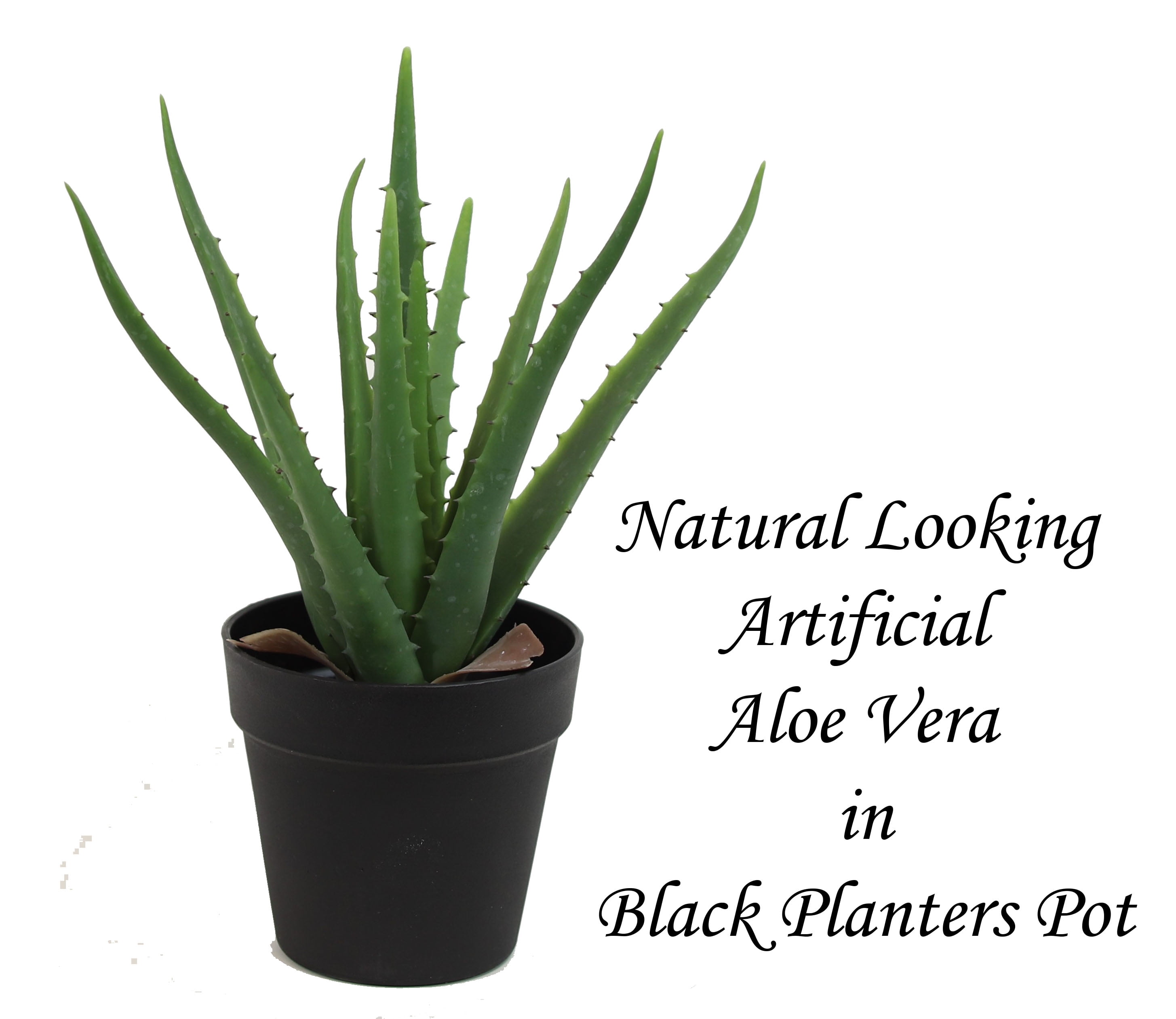 The Mod Greenhouse 14" Artificial Green Aloe Vera Plant in a Matte Black Grower's Pot