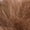 Brown, variant on Scoop Women's Faux Fur Stilettos